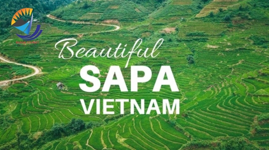 TOUR HÀ NỘI - HẠ LONG- NINH BÌNH – LÀO CAI - SAPA