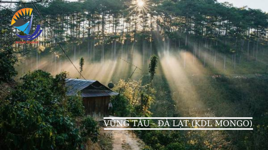 TOUR VŨNG TÀU - ĐÀ LẠT (KDL MOONGO LAND)